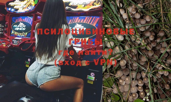 эйфоретик Белокуриха
