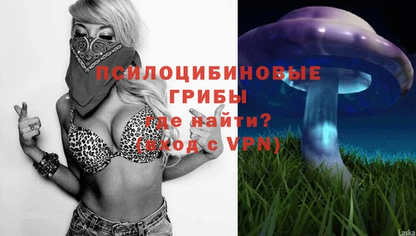эйфоретик Белокуриха